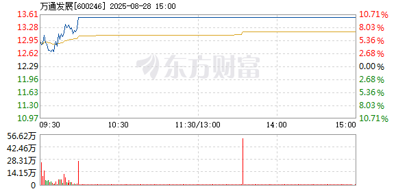 R图 600246_1