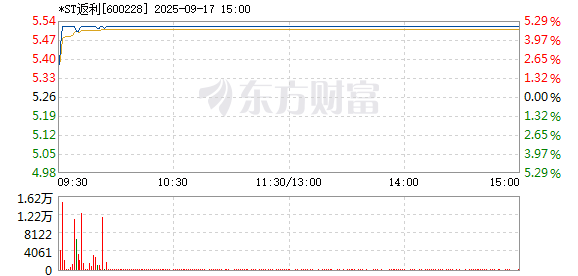 R图 600228_1