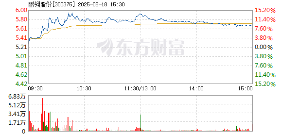 R图 300375_2