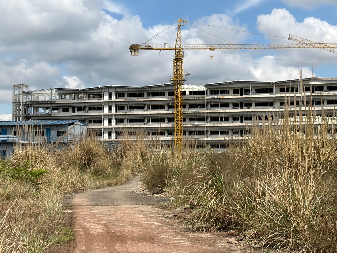 猪价跌至近15年低点 短视频热传“集团猪场倒闭潮” 真相如何？