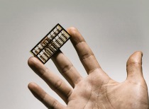 牛散“魏巍”1.3亿元拍下ST龙大近5%股份？公司回应：暂未确认是否为同一人
