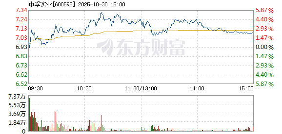 R图 600595_1