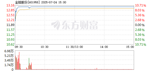 R图 601958_1