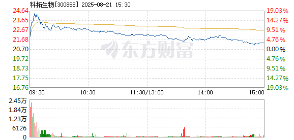 R图 300858_2
