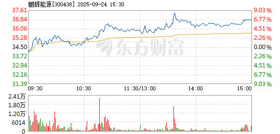 R图 300438_2