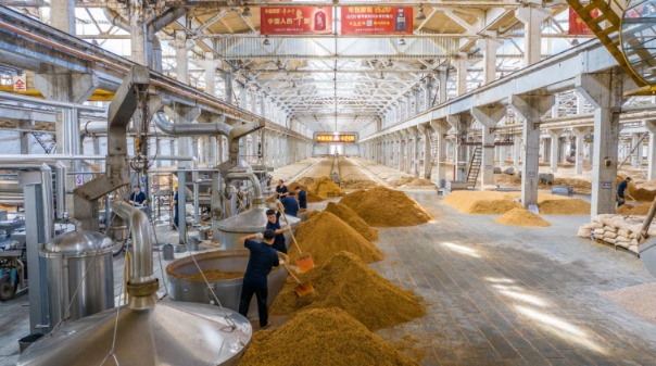 古井贡酒酿酒车间。古井集团供图