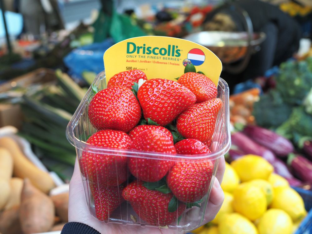 driscoll-strawberry.jpg?auto=format&fit=