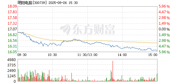 R图 300739_2