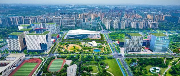 Zfdzodhsvq1763991032756.thumb_head