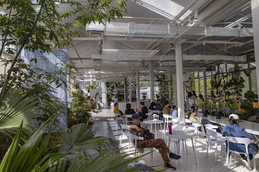 上海市中心冒出来的这些市民园艺中心究竟是干什么的