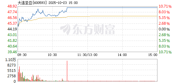 R图 600593_1