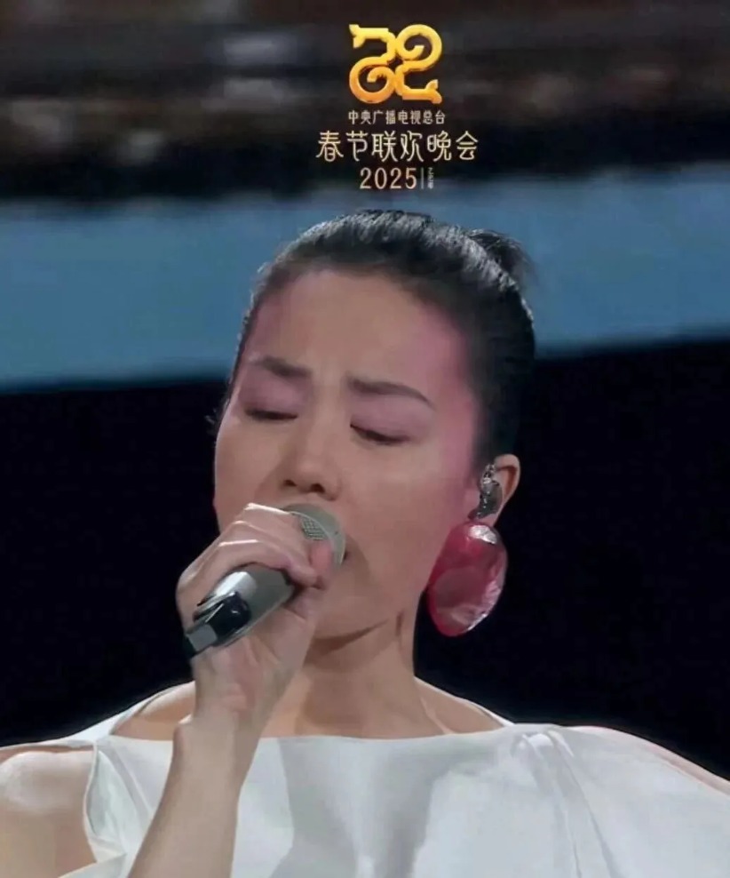 热搜爆了 王菲耳环再出圈 窦靖童发文