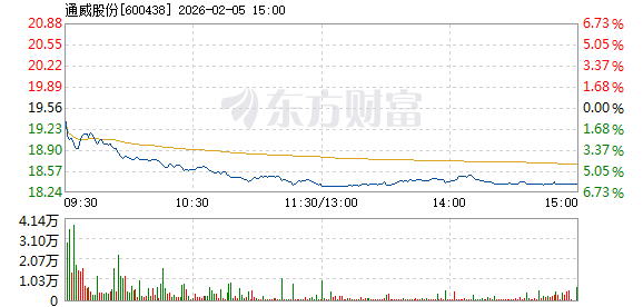 R图 600438_1