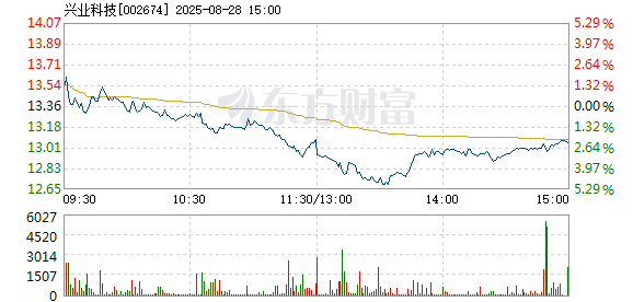 R图 002674_2