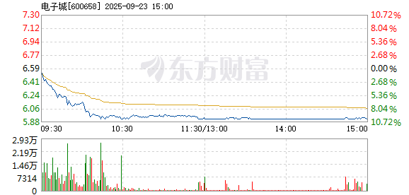 R图 600658_1