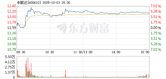 R图 600610_1