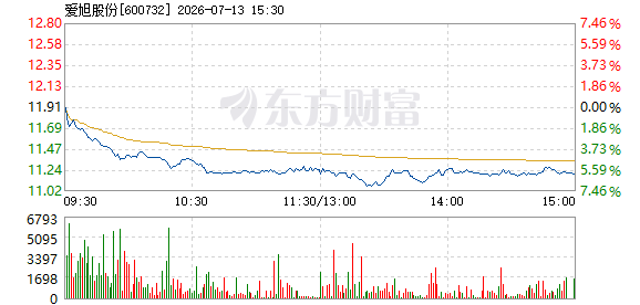 R图 600732_1
