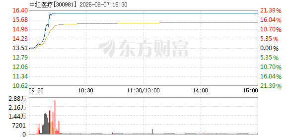 R图 300981_2