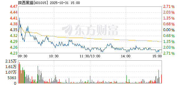 R图 601015_1