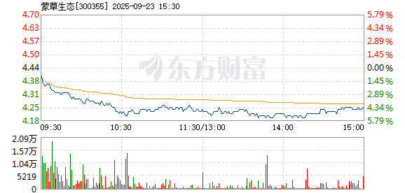 R图 300355_2