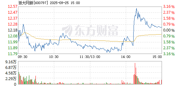 R图 600797_1