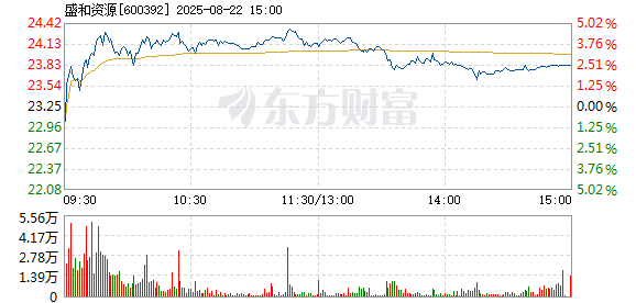 R图 600392_1