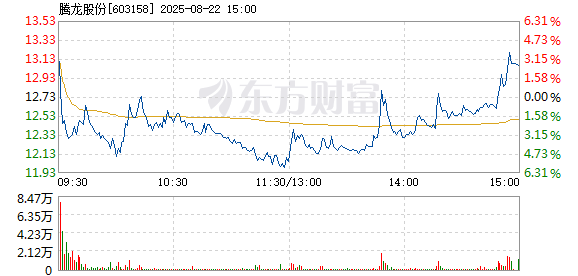 R图 603158_1