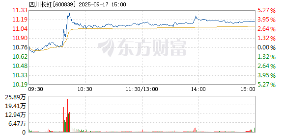 R图 600839_1