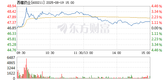 R图 600211_1