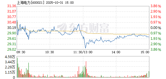 R图 600021_1
