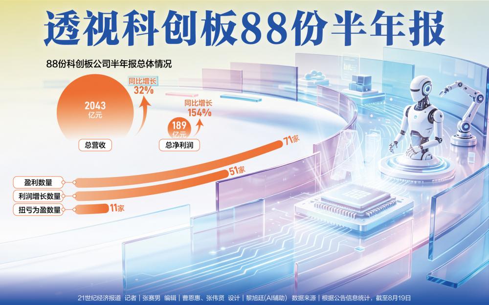 科创板88份半年报透视：利润增长超一倍，国产算力生态跃升