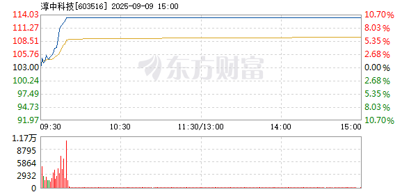 R图 603516_1