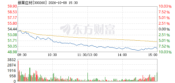 R图 300260_2