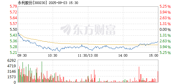 R图 300230_2
