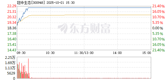 R图 300948_2