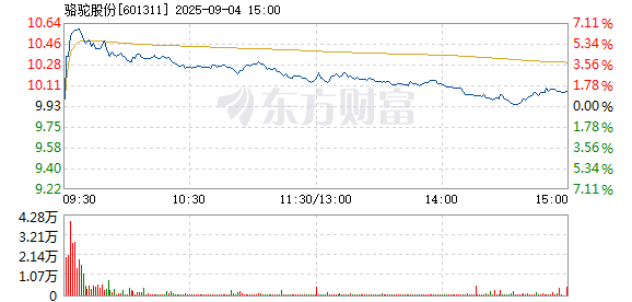 R图 601311_1