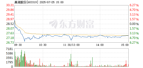 R图 603319_1
