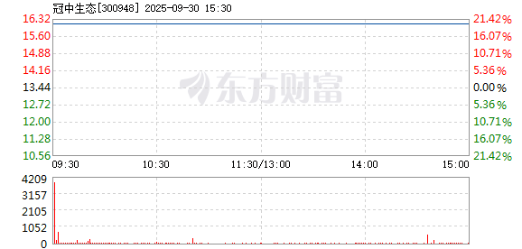 R图 300948_2