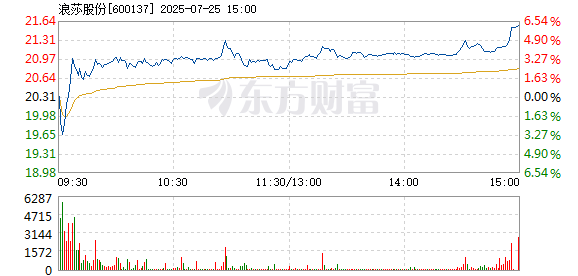 R图 600137_1