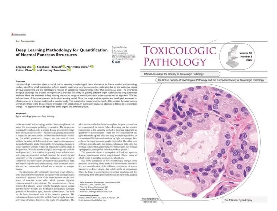 耀速与制药巨头辉瑞公司在国际权威期刊《Toxicologic