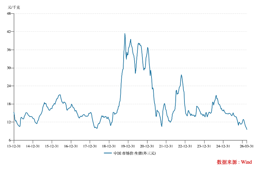 生猪价格持续新低 多数上市猪企为何还在“逆势出栏”?