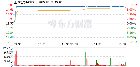 R图 600021_1
