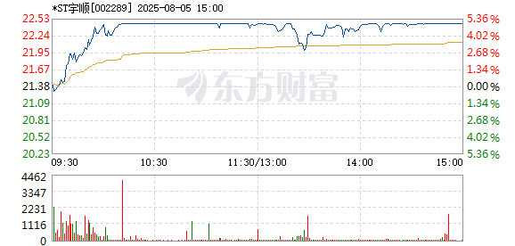 R图 002289_2