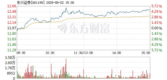 R图 601198_1