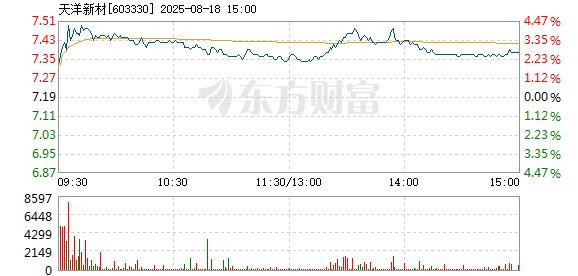 R图 603330_1
