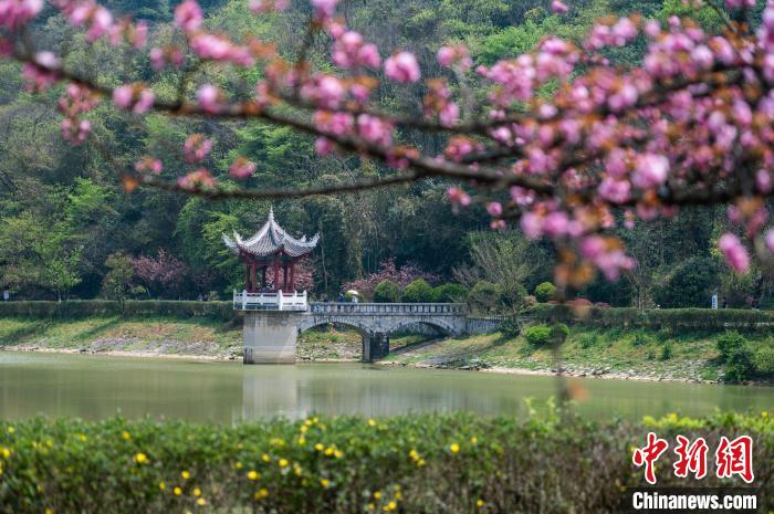 贵州贵阳长坡岭国家森林公园春意盎然市民乐享周末