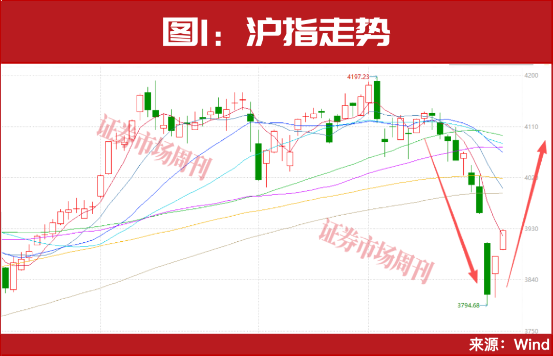 林园出手!又一轮低吸机会来了?