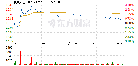 R图 600992_1