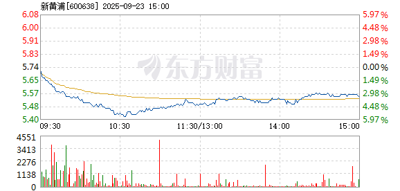 R图 600638_1