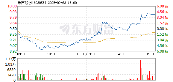 R图 603058_1